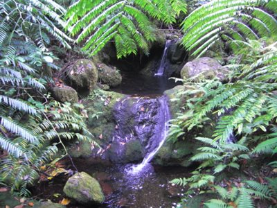 Small waterfalls along Papua Stream