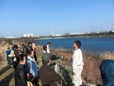 Sun. afternoon tour of Gyotoku Bird Observatory