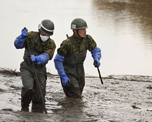 Japan Ground SDF members search for bodies